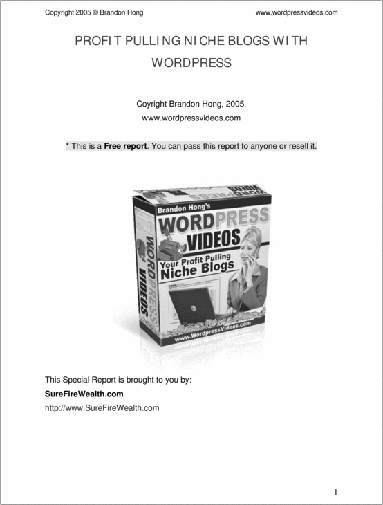 Product picture PROFIT PULLING NICHE BLOGS WITH WORDPRESS